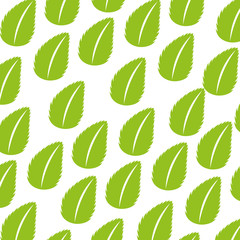 tea leafs product pattern vector illustration design