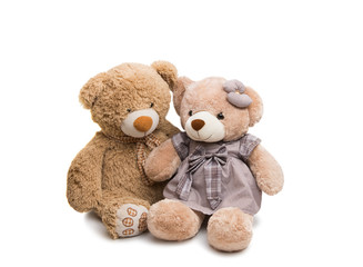 Soft toy bear isolated
