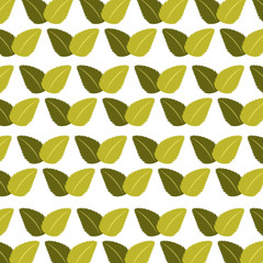 tea leafs product pattern vector illustration design