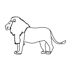 big lion african proud powerful nobility standing and fierce