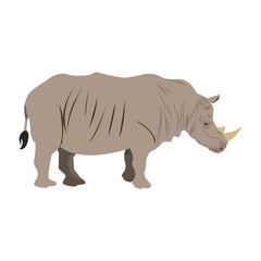 rhino wild animal africa exotic mammal