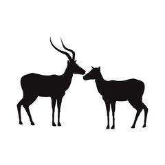 silhouette pair of a standing impala africa mammal wild