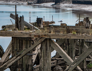 Decaying wooden structure next to river