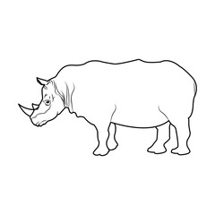 rhino wild animal africa exotic mammal