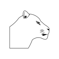 female head lion african animal courageous