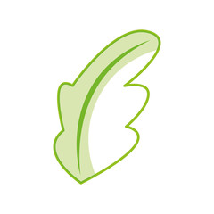 tea leafs product icon vector illustration design