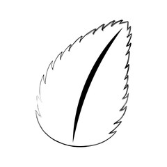 tea leafs product icon vector illustration design