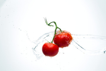 Red tomatoes on a branch with drops of water on a white background