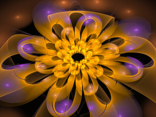 Concentric Flower Center, fractal abstract background