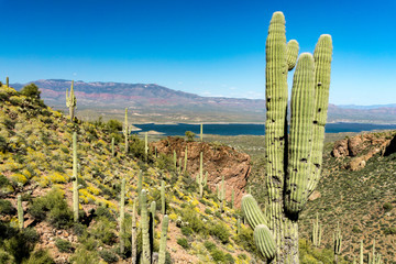 Arizona valley