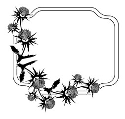 Decorative frame with thistle silhouette. Vector clip art.