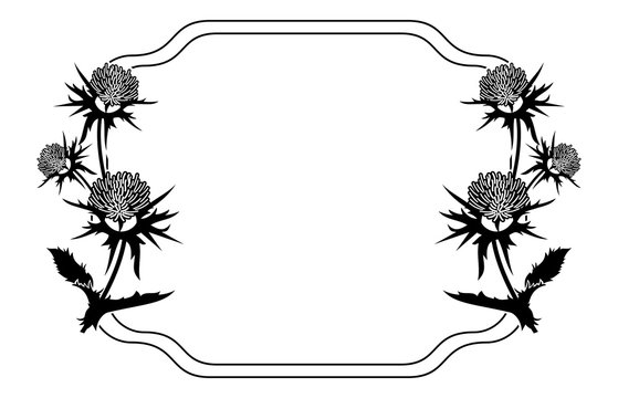 Decorative frame with thistle silhouette. Vector clip art.