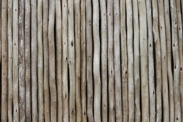 bamboo canes background texture copy space stock, photo, photograph, image, picture,