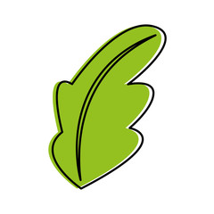 tea leafs product icon vector illustration design