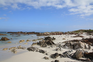 South African Beach
