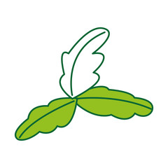 tea leafs product icon vector illustration design