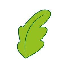 tea leafs product icon vector illustration design