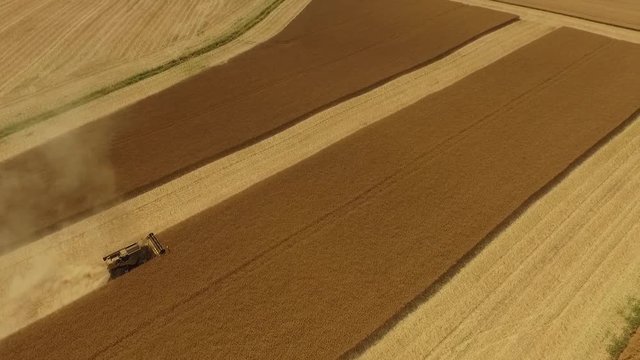R&eacute;colte du Colza