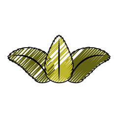 tea leafs product icon vector illustration design