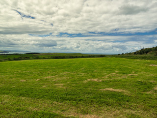  summer countryside morning,Northern Ireland