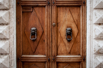 Old wooden door with antique ornaments and brass door knocker