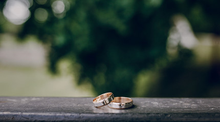 wedding rings outdoor