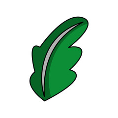 tea leafs product icon vector illustration design