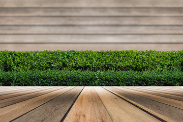 wooden floor with plant in garden decorative on wooden wall