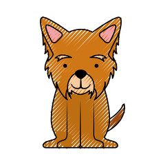 cute dog mascot icon vector illustration design