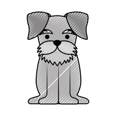 cute dog mascot icon vector illustration design