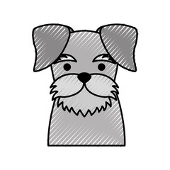 cute dog mascot icon vector illustration design