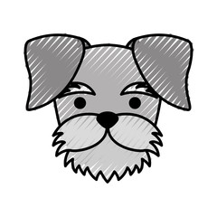 cute dog mascot icon vector illustration design
