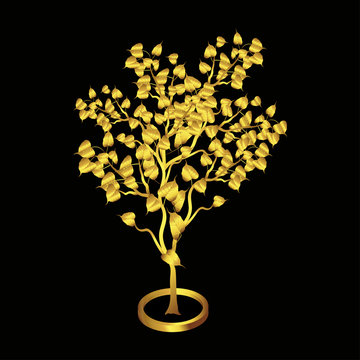 Gold Bodhi tree Isolated on black background.