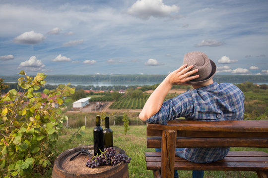 Rear view of young man sitting on a bench and enjoying fantastic view at vineyard