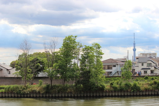 千葉 涼介 Photos Images Assets Adobe Stock