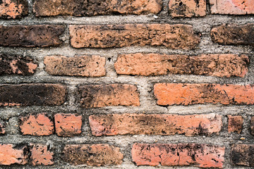 Brick red background, clean paint Beautifully arranged Can be assembled in one part of advertising.