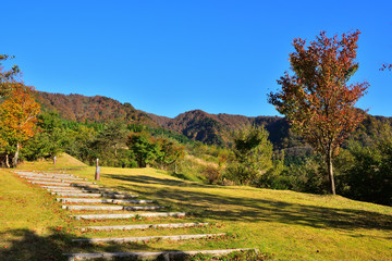 氷ノ山の遊歩道(2016年10月)