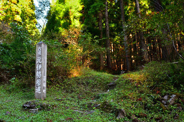 氷ノ山の元伊勢参道(2016年10月)