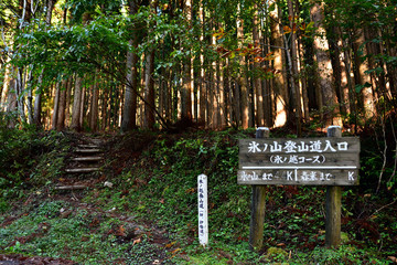 氷ノ山登山道入り口(2016年10月)