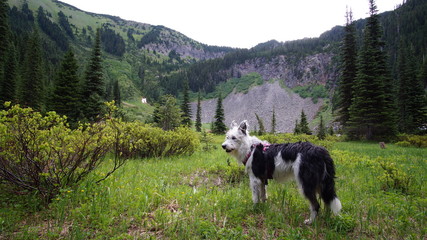 Exploring Washington State, The Pacific Northwest