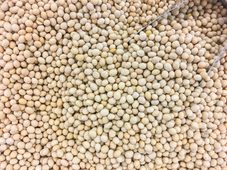 Soy bean and scoop