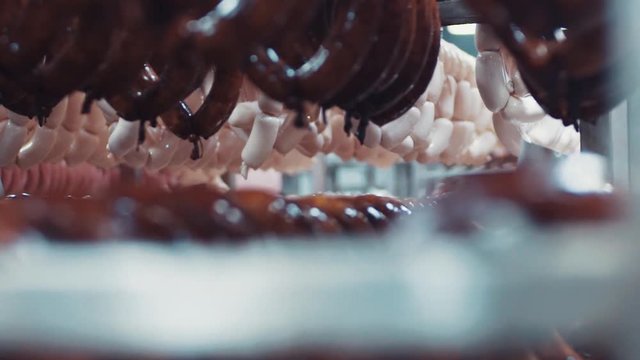 Rows of prepared meat products on food processing factory. Organic, junk food. Manufacturing process, gourmet style.