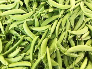 sugar pea, green peas. Green food background.