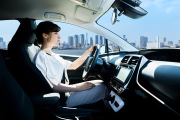 driver's seat side view.