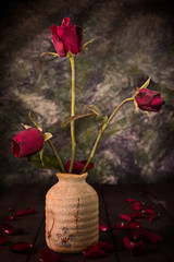 Still life stlye of dry out rose