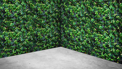 Empty green leaves wall and concrete floor corner studio room background,Mock up template for...