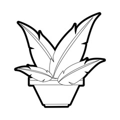 plant vector illustration
