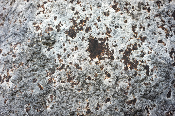 Rust texture on white background.