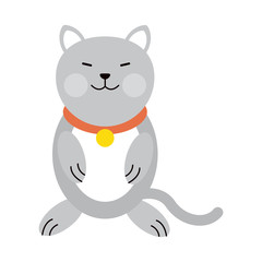 cat cartoon pet animal icon image