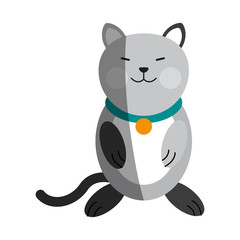 cat cartoon pet animal icon image